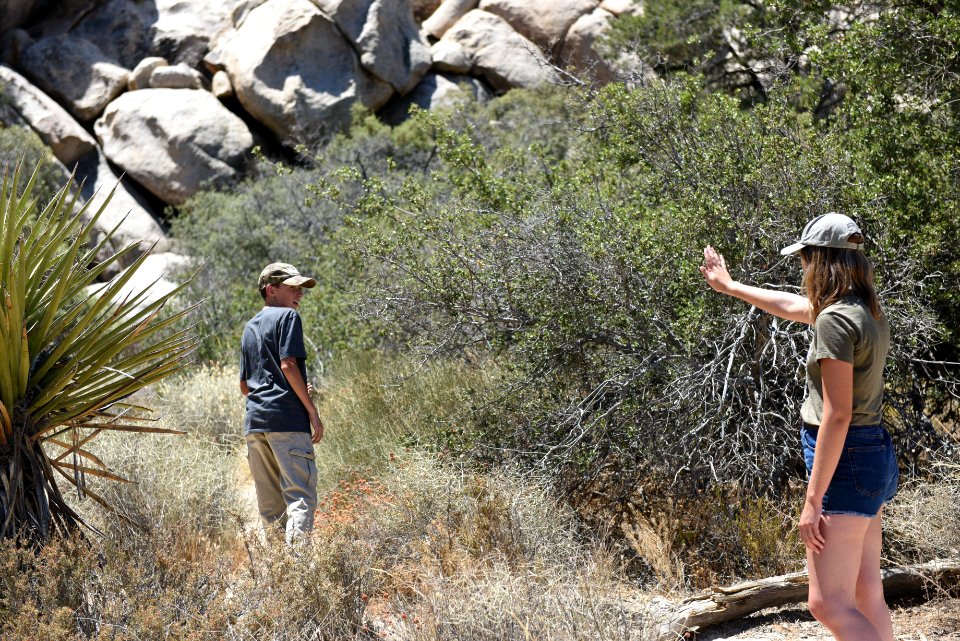 "Stay on marked trails"