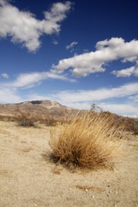 Pinto Dunes