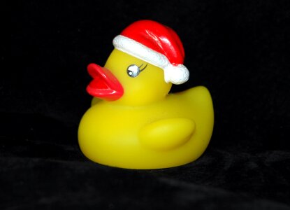 Duck nicholas toys