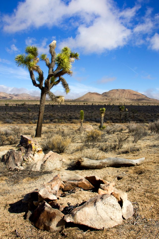 Illegal campfire along Bighorn Pass Road
