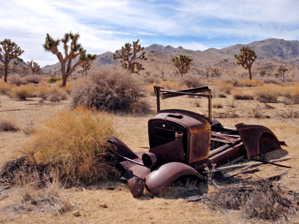 Near Willet's Well