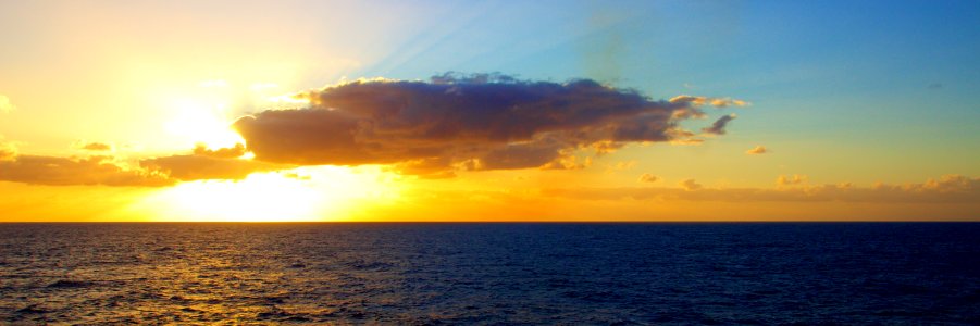 Somewhere in the Coral Sea