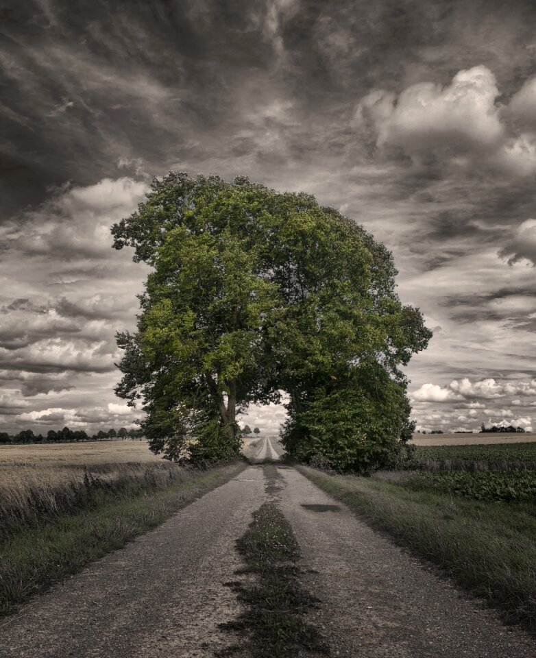 Goal mood landscape