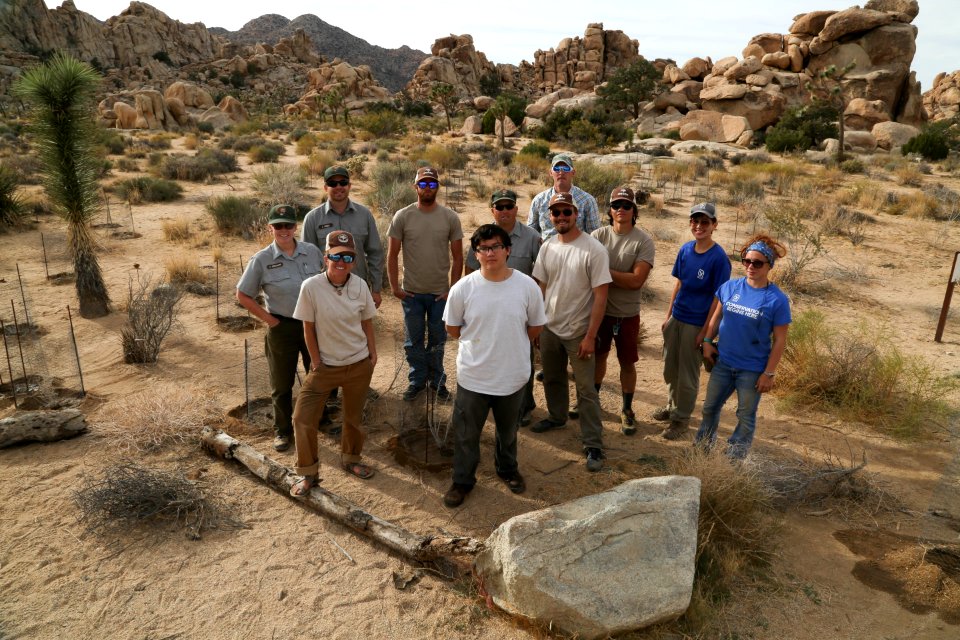 Staff and volunteers pose in front of their work near Hemingway Buttress