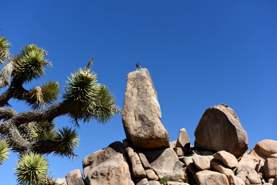 Climber on Headstone Rock