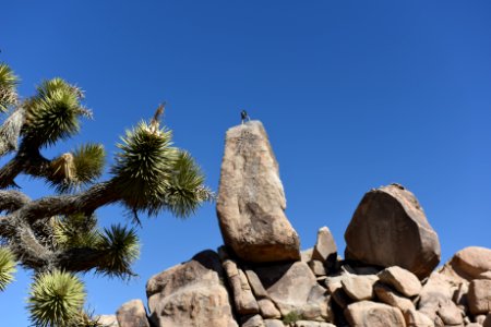 Climber on Headstone Rock