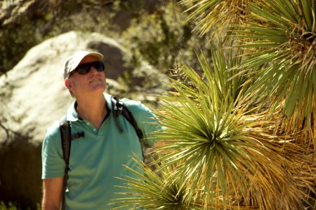 Visitor and Joshua tree