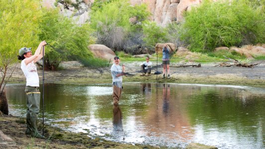 Setting up mist nets for The Bat Blitz 2018 photo