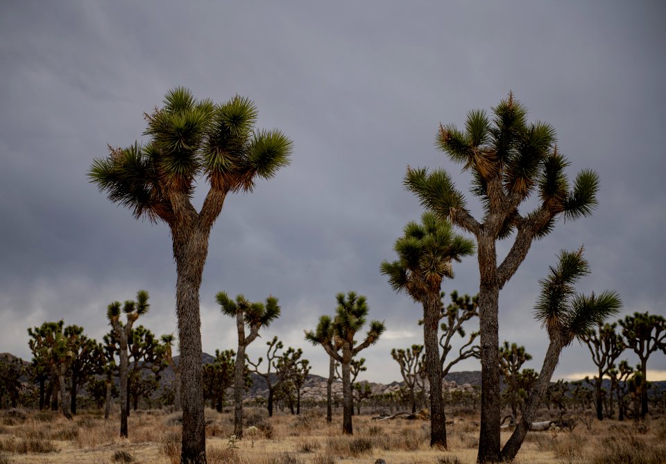 Stormy weather photo