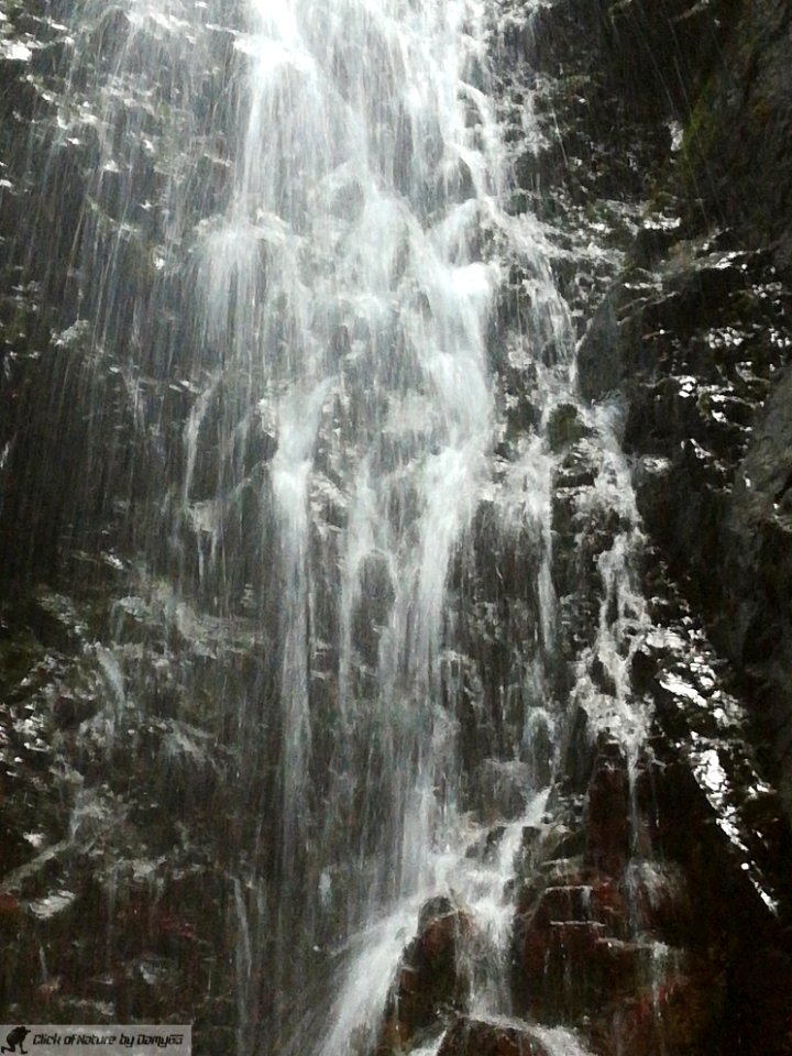 DAM2137 - Val Dezzo - Cascatella