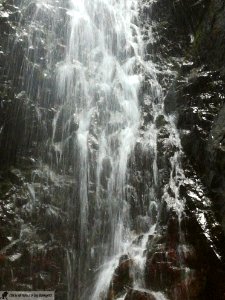 DAM2137 - Val Dezzo - Cascatella