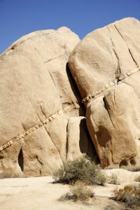 Joshua Tree Geology photo