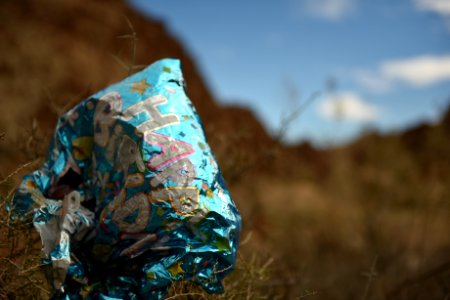 Balloons Blow, Don't Let Them Go