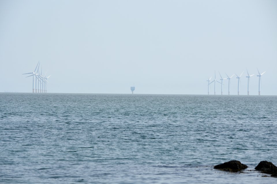 dsc 1344 38441924501 o