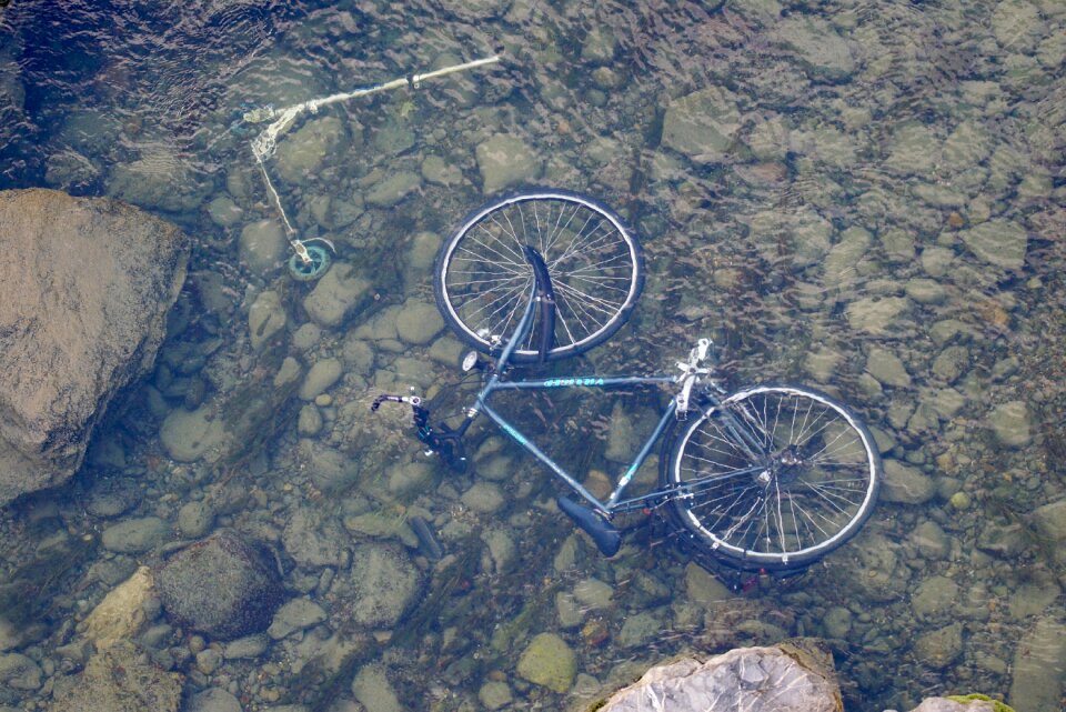 Scooter disposed of roller