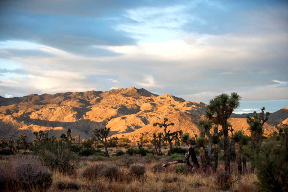 Sunrise near West Entrance