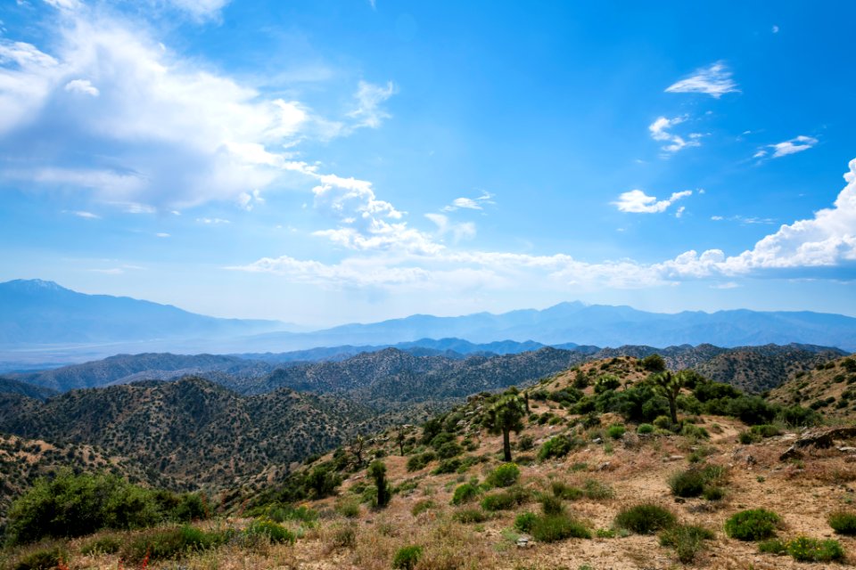 View from Upper Covington Flats