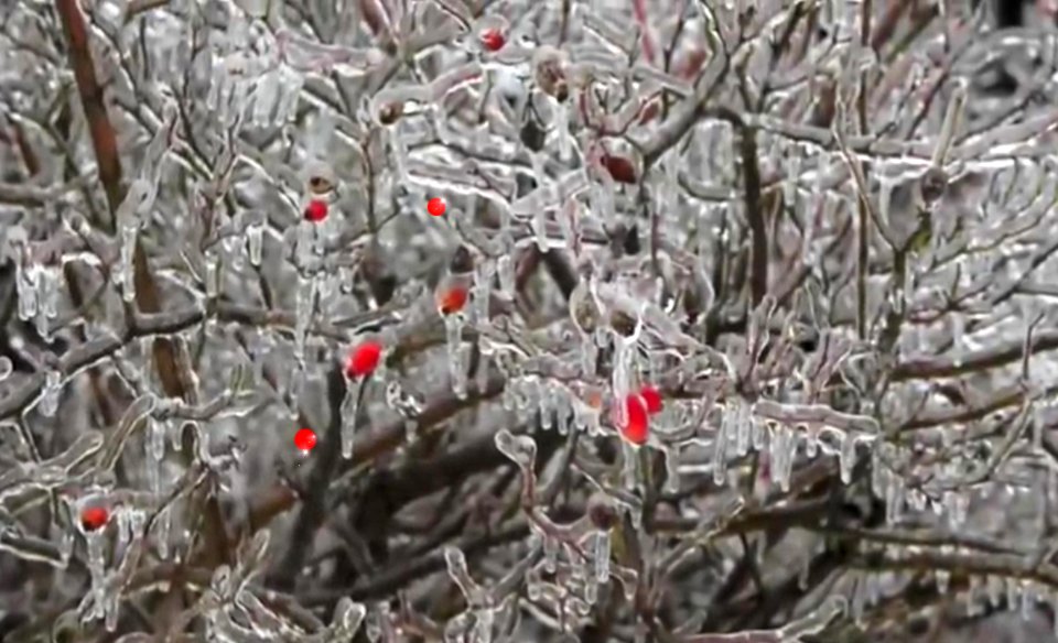 Toronto icestorm