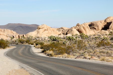 Jumbo Rocks Campground