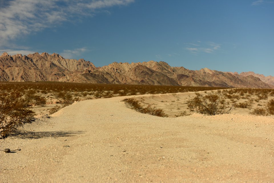 Coxcomb Mountains