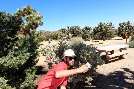 Visitor taking a selfie photo