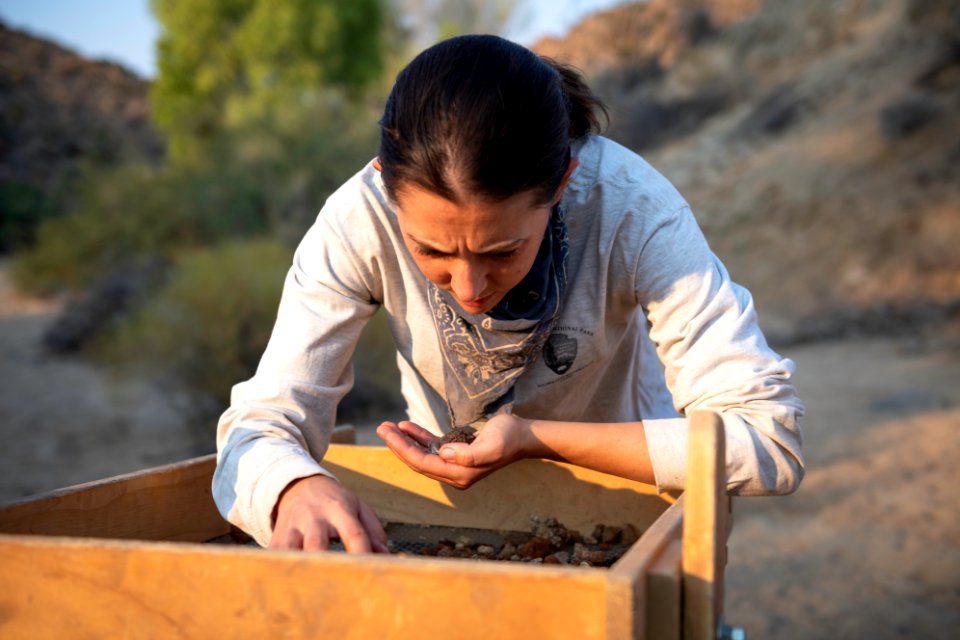 Park ranger performing archaeology surveys at Cottonwood Springs