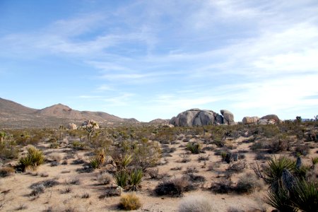 Belle Campground