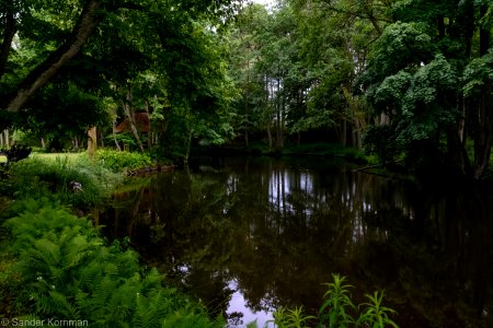 20170701- DSC0012.jpg