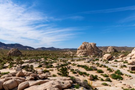 Empty Hidden Valley Campground overlooking Intersection Rock