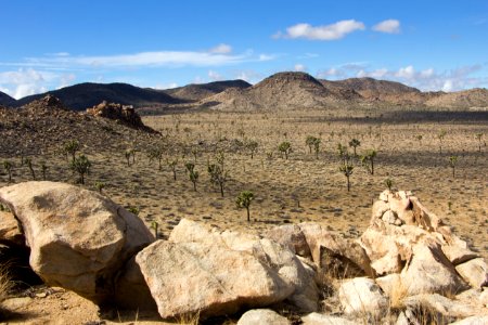 Queen Valley landscape photo