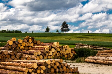 Meadow field holzstapel