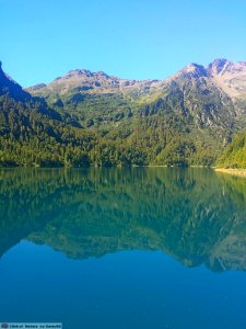 DAM1687 - Lago di Pian Palù (Pejo/Trentino)