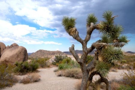 Monsoon clouds from Live Oak Picnic Area