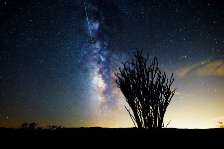 Perseid Meteor Shower over the Ocotillo Patch; 8/12/15 photo