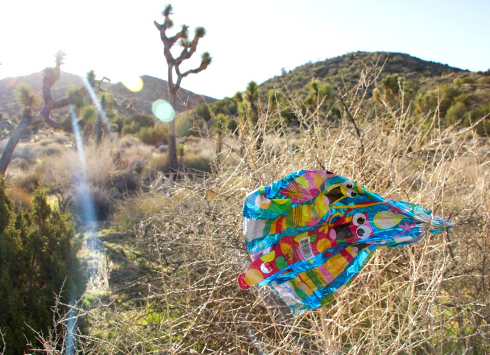 A mylar balloon snagged in a bush