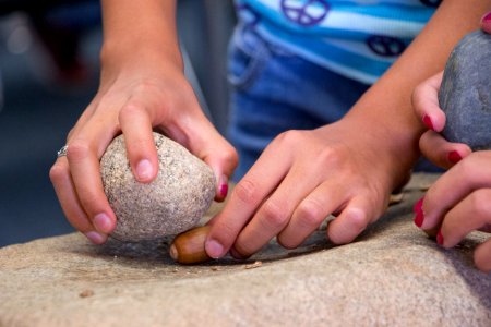GATE (Gifted and Talented Education) students grind acorns