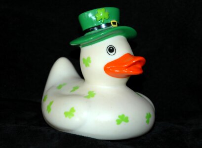 Duck ireland toys