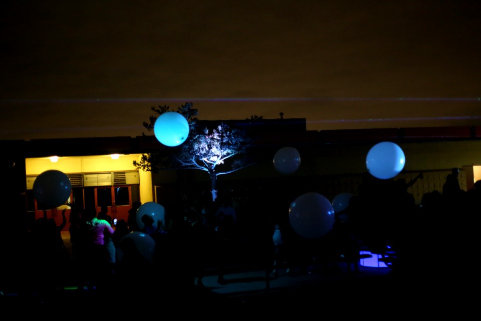 IMG 0798