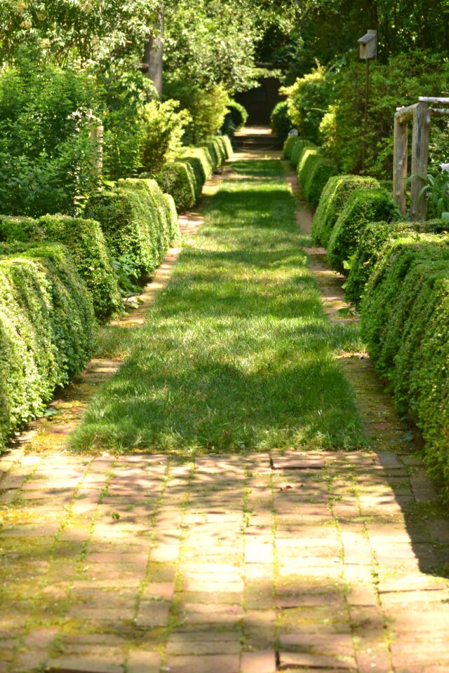 Pathway green landscape