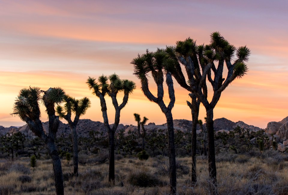Sunset in Lost Horse Valley; 12/3/15