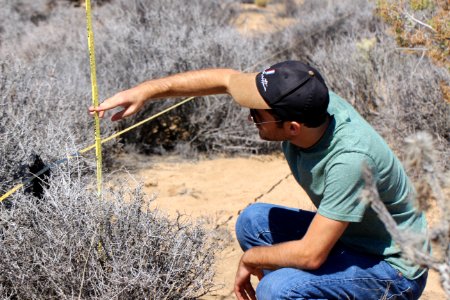 Citizen Science Climate Change & Vegetation Monitoring