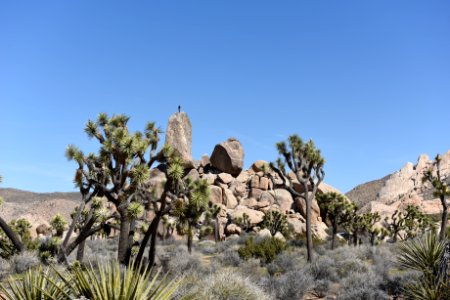 Climber on Headstone Rock