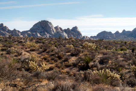 Mojave National Preserve photo