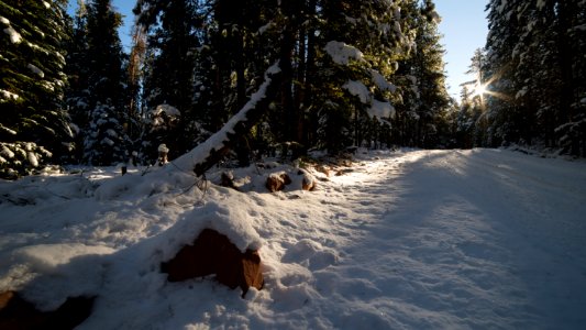 Sylvan Lake State Park, CO