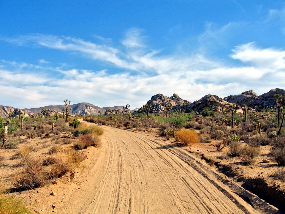 Desert Queen Ranch Road