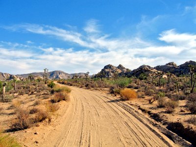 Desert Queen Ranch Road