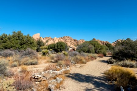 Willow Hole trail photo