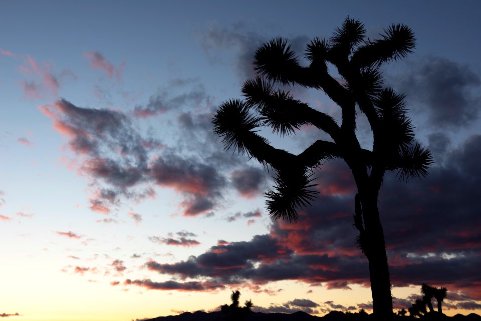 Sunset at Hall of Horrors