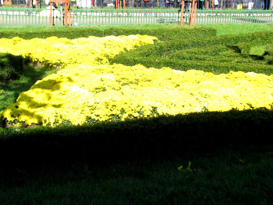 autumn Unirii-Square (58)