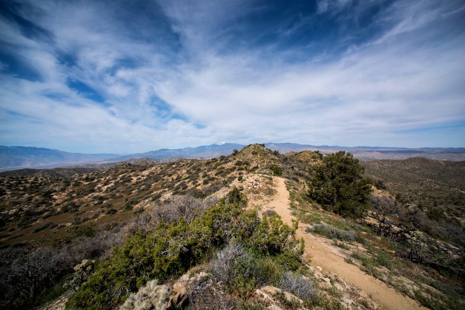 Panorama loop trail, Warren Peak